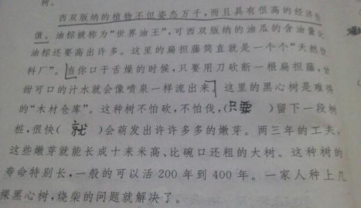 赞美的女孩