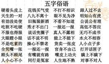 谚语大全事理类