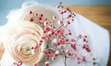 最触动人心的句子