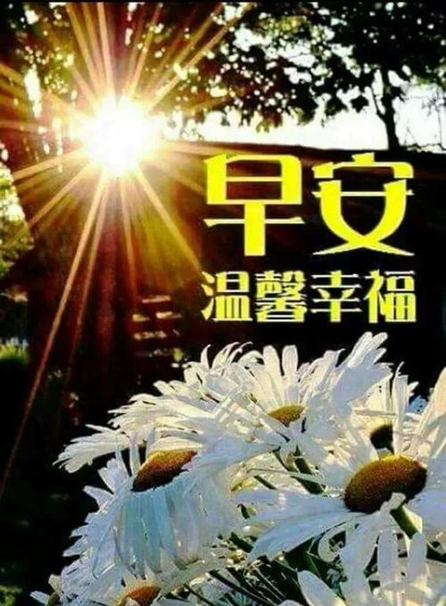 讯息2020