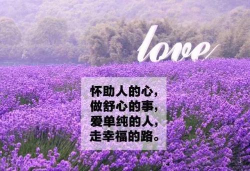 命运经典行情