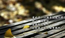 梦想中的彩虹，因生命骤雨的洗涤而更加灿烂