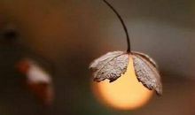 发朋友圈美句子