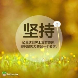 精选报价