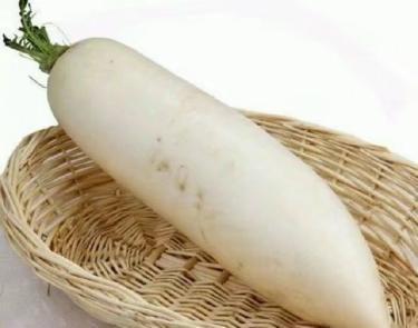 萝卜谚语