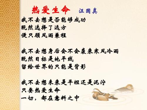 人生感悟句子