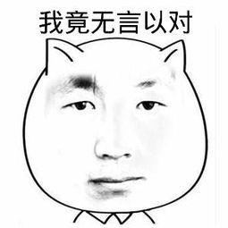 一句话无语
