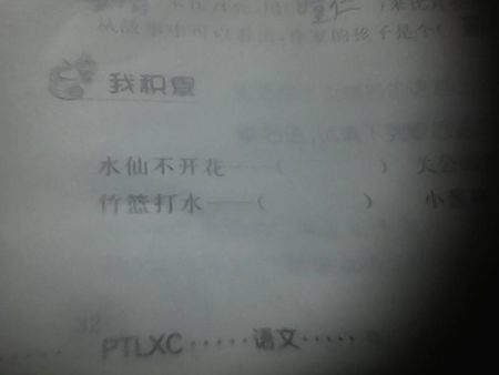 水仙不绽放