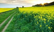 九月短信祝福语