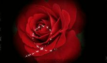 祝福心爱的人幸福快乐