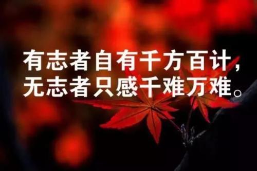 赚钱的正能量句子
