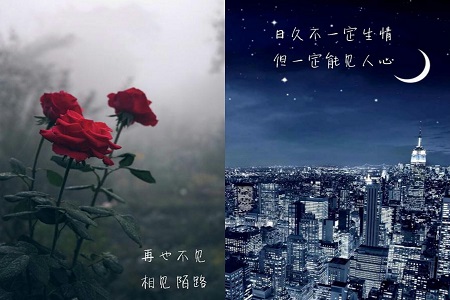 表达悲伤和绝望的句子