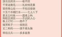 耗子进书箱歇后语