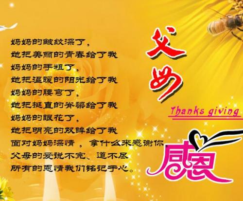 谢谢你的领导