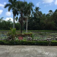 一句话醒来