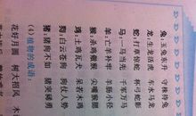 含有动物歇后语