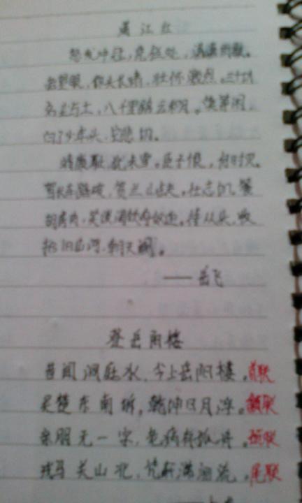 动物的好话和短句
