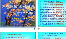 收集成语歇后语