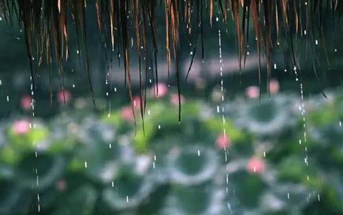 描述雨季的句子