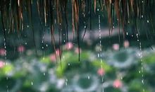 描写梅雨季节的句子