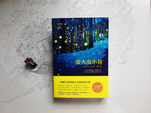 萤火虫巷子经典句子