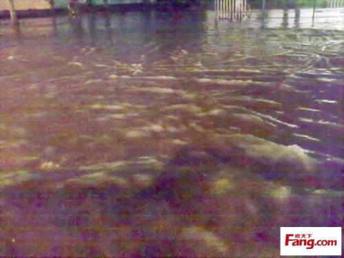谈论暴雨