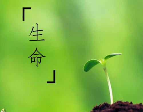 无期徒刑