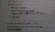 写桃花的拟人句
