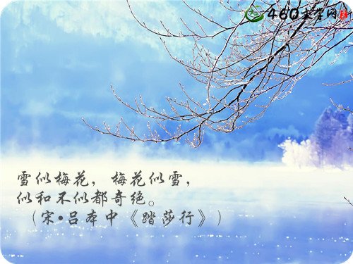 句子与雪