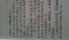 动物作文好词好句