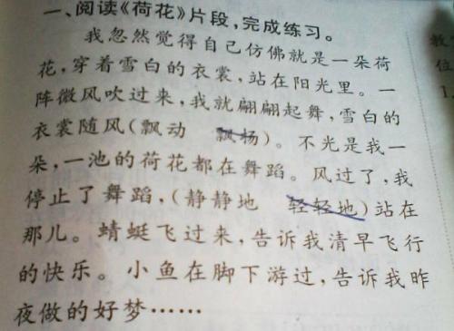 小鹤写拟人化的句子