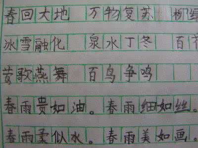 为动物写好单词和句子
