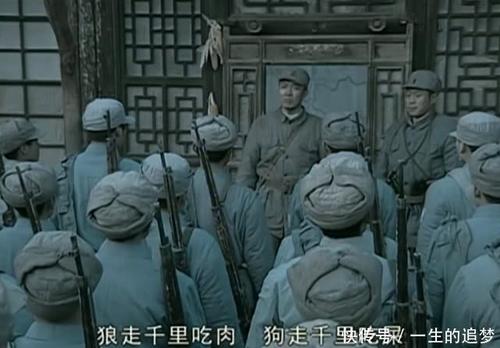 狼旅行数千英里吃肉