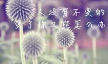 人生无奈的句子