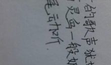 大概造句三年级大全