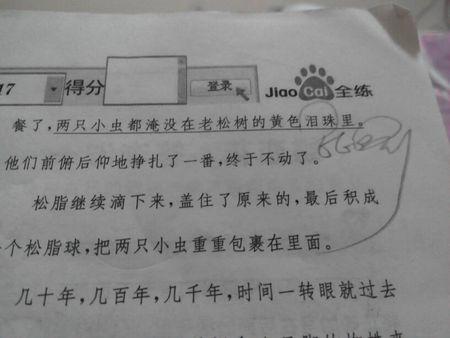 生活的寓言