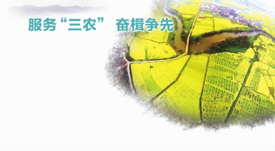 三个农村口号