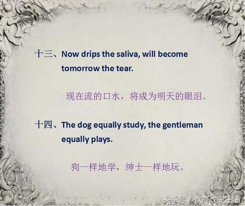 哈佛行情