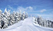 描写冬天的好句子大全