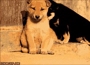晓的