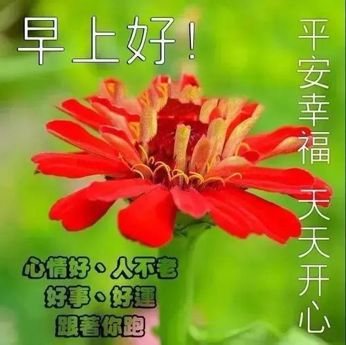 周末微信祝福