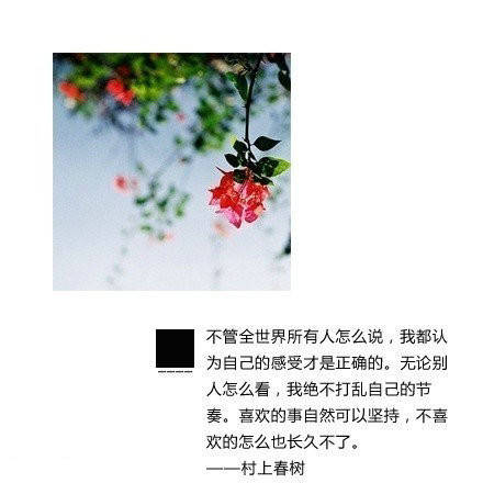 收集关于树木的谚语