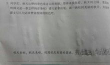 描写美丽校园的句子