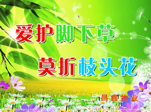 小学生环保口号