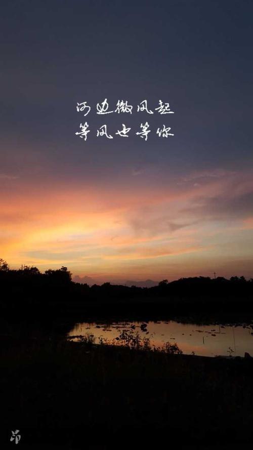 关于描述日落的句子