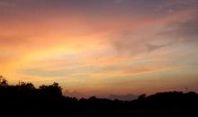 关于描写日落的句子