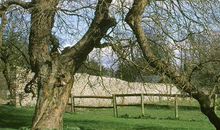 树的谚语是哪些