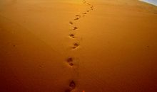 描写日落景象的句子