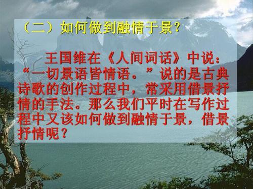 抒情诗歌