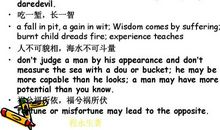 初生牛犊歇后语